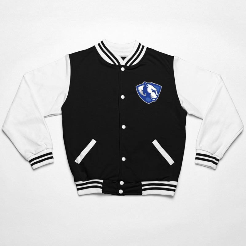 Eastern Illinois Panthers Bomber Jacket by doksshop | Artistshot