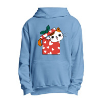 Cat In The Box Urban Pullover Hoodie | Artistshot