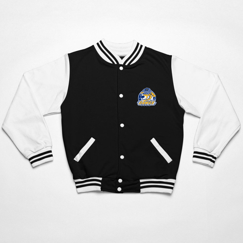 Roanoke Rail Yard Dawgs Bomber Jacket | Artistshot