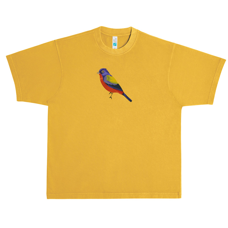 Just A Boy Who Loves Painted Buntings T  Shirt Just A Boy Who Loves Pa Urban Heavy T-shirt by shouldcloser | Artistshot