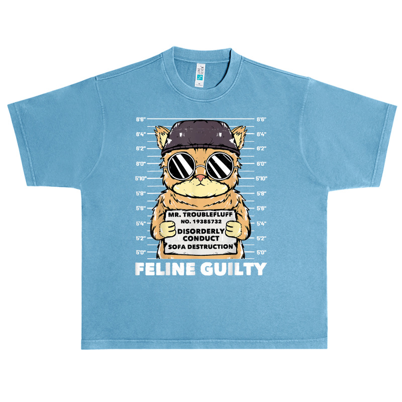 Funny Cat  Feline Guilty  Guilty Cat Trouble Fluff Mugshot Urban Heavy T-shirt | Artistshot