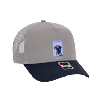 Vaxxed & Relaxed Dog   Vaccinated Mesh Back Trucker Hat | Artistshot