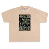 Lichen By Ernst Urban Heavy T-shirt | Artistshot