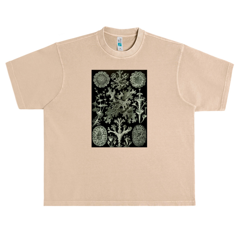 Lichen By Ernst Urban Heavy T-shirt by acesenpaii | Artistshot