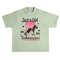 Schnauzer Design, Just A Girl Who Loves Schnauzers Urban Heavy T-shirt | Artistshot