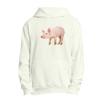 Pig Urban Pullover Hoodie | Artistshot