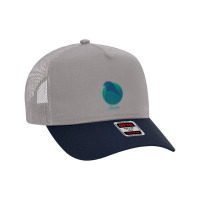 Alaska Osprey Sea Green Raptor Ocean Bird Premium Mesh Back Trucker Hat | Artistshot