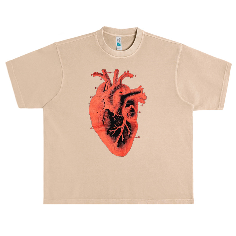 Anatomic Vintage Heart, Anatomic Vintage Heart Art, Anatomic Vintage H Urban Heavy T-shirt | Artistshot