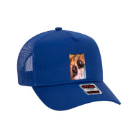 Snail Mesh Back Trucker Hat | Artistshot