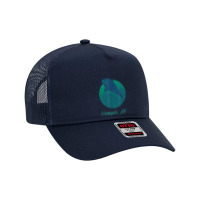 Wrangell Ak Osprey Sea Green Raptor Ocean Bird T Shirt Mesh Back Trucker Hat | Artistshot