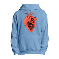 Anatomic Vintage Heart, Anatomic Vintage Heart Art, Anatomic Vintage H Urban Pullover Hoodie | Artistshot