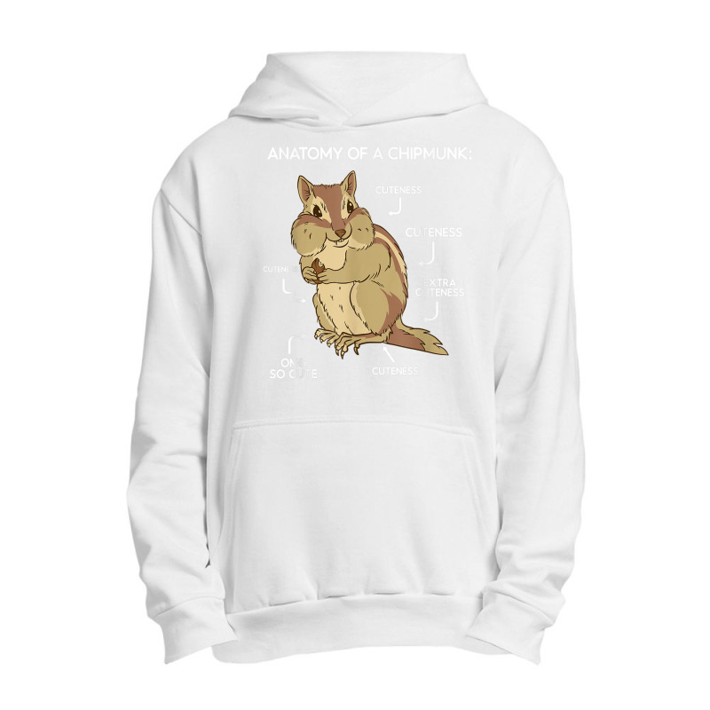 Anatomy Cute Chipmunk Urban Pullover Hoodie | Artistshot