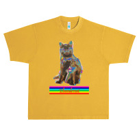 Thunder Cat Kitty Print Urban Heavy T-shirt | Artistshot