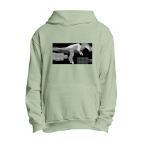 Dino The Dinosaur From Dinosaur World Urban Pullover Hoodie | Artistshot