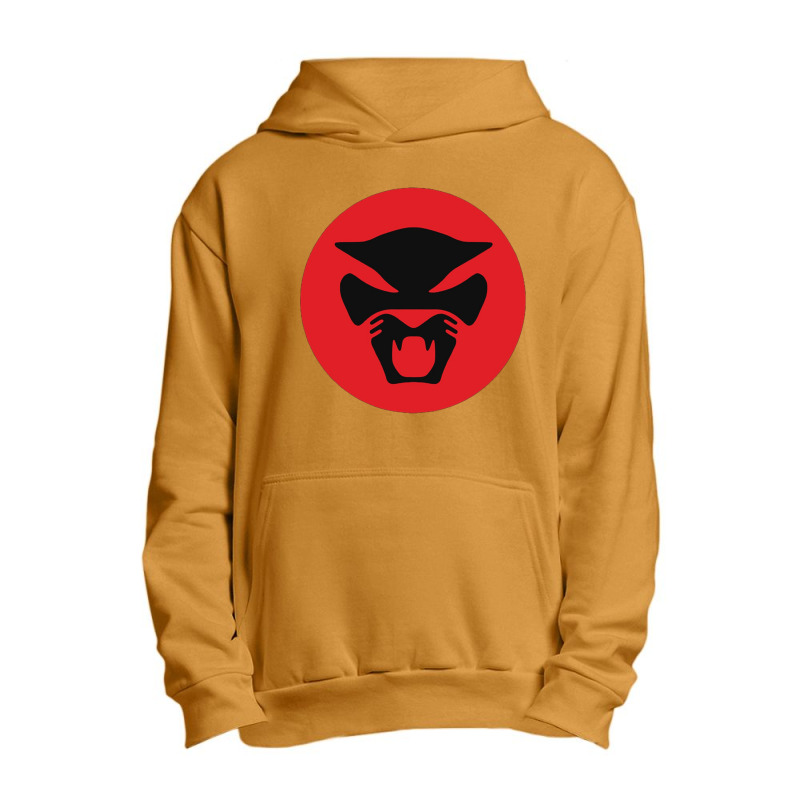 Amercian Bass Guitar  Thundercat Premium Urban Pullover Hoodie by JESSICAALLEN | Artistshot