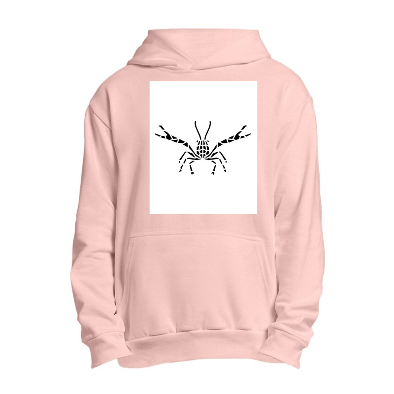 Crustaceancore For Ocean And Animal Lovers Sea Life Graphic Urban Pullover Hoodie | Artistshot