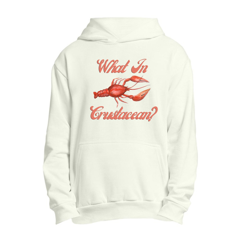 What In Crustacean  Cute Crustaceancore Urban Pullover Hoodie | Artistshot