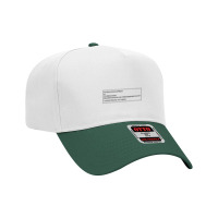 The Second Annual Report Adjustable Baseball Cap | Artistshot