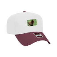 Picardy Spaniel Dog Lover T Shirt Adjustable Baseball Cap | Artistshot