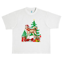 Funny Canaan Dog Christmas Xmas Cute Urban Heavy T-shirt | Artistshot