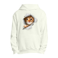 Ca, Orange Cat T Cat Torn Cloth Kitten Urban Pullover Hoodie | Artistshot