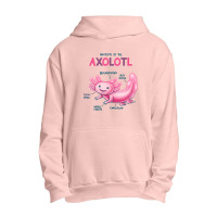 Anatomy Of The Axolotl Urban Pullover Hoodie | Artistshot