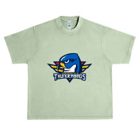 The-springfield-thunderbirds-hockey Urban Heavy T-shirt | Artistshot