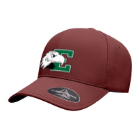 Eastern Michigan Eagles Seamless Cap | Artistshot