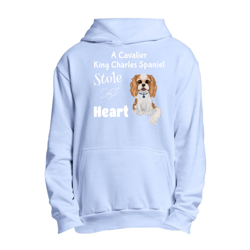 Cavalier King Charles Spaniel My Cavalier King Charles Spaniel Stole M Urban Pullover Hoodie | Artistshot