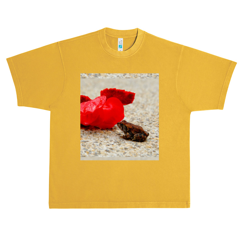 Cute Tiny Multi Colored Frog Next To A Red Geranium Blossom Flower  Sl Urban Heavy T-shirt by cm-arts | Artistshot