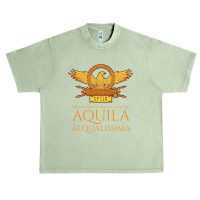 Ancient Rome   Latin Language   The Eagle Is The Most Equal Long Sleev Urban Heavy T-shirt | Artistshot