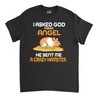 I Asked God  For An Angel He Sent Me A Crazy  Hamster Classic T-shirt | Artistshot