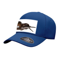 Snail Art Seamless Cap | Artistshot