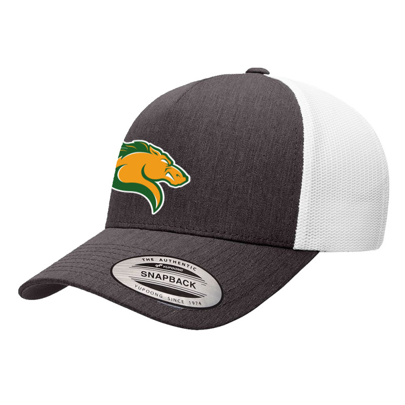 Marywood Merch, Pacers Yupoong Trucker Cap | Artistshot