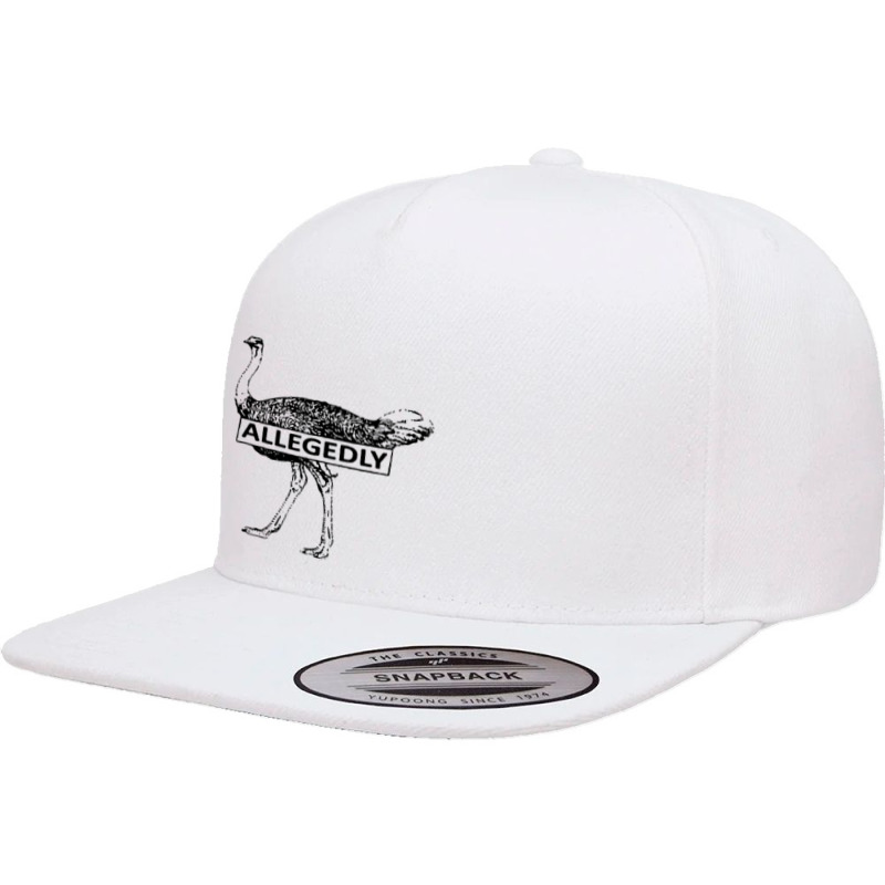 Letterkenny Pitter Patter Allegedly 5 panel snapback cap by ALex Marcus | Artistshot