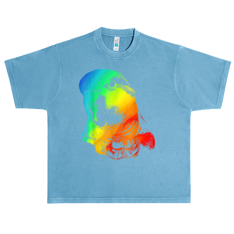 Quaker Parrot Colorful Rainbow Retro Urban Heavy T-shirt | Artistshot