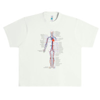 Circulatory System Anatomy Chart Arteries Veins Urban Heavy T-shirt | Artistshot