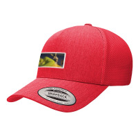 Sylvanian Family Drama You Re Gonna Be A Teen Mom 103510653 Yupoong Trucker Cap | Artistshot