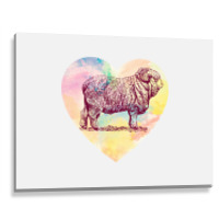 Merino Ram Metal Print Horizontal | Artistshot