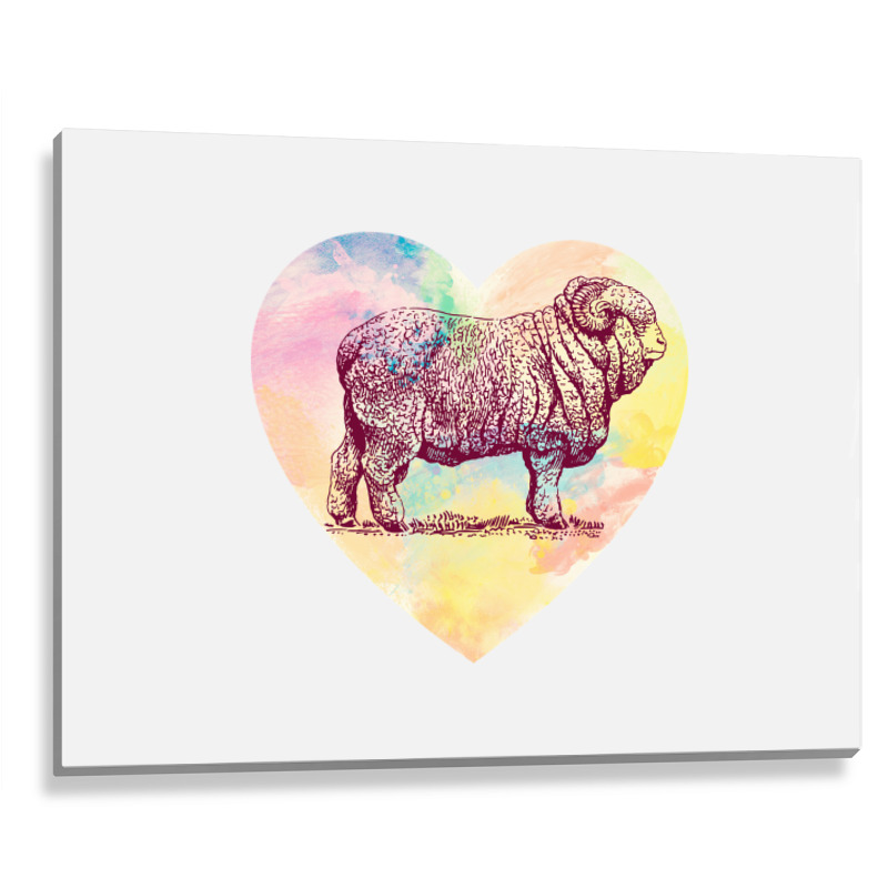 Merino Ram Metal Print Horizontal | Artistshot