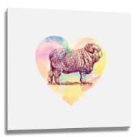 Merino Ram Metal Print Square | Artistshot