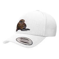 Sea Lion Illustrations Yupoong Trucker Cap | Artistshot