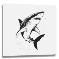 A Shark Metal Print Square | Artistshot