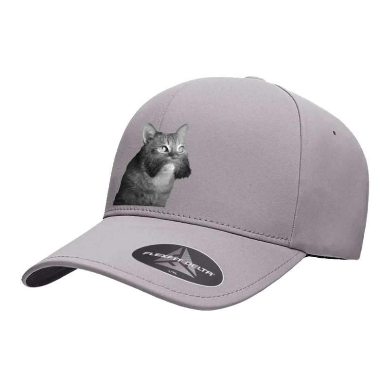 Cat With Sideburns T Shirtcat With Sideburns T Shirt (1) Seamless Cap by jordanianstroke | Artistshot