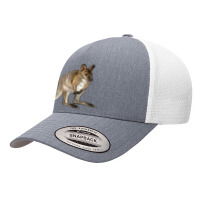 Hand Drawn Wallaby Animal Yupoong Trucker Cap | Artistshot