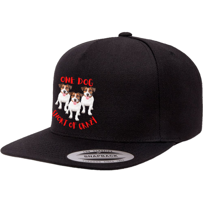 One Dog Short Of Crazy T  Shirtone Dog Short Of Crazy T  Shirt (18) 5 Panel Snapback Cap | Artistshot