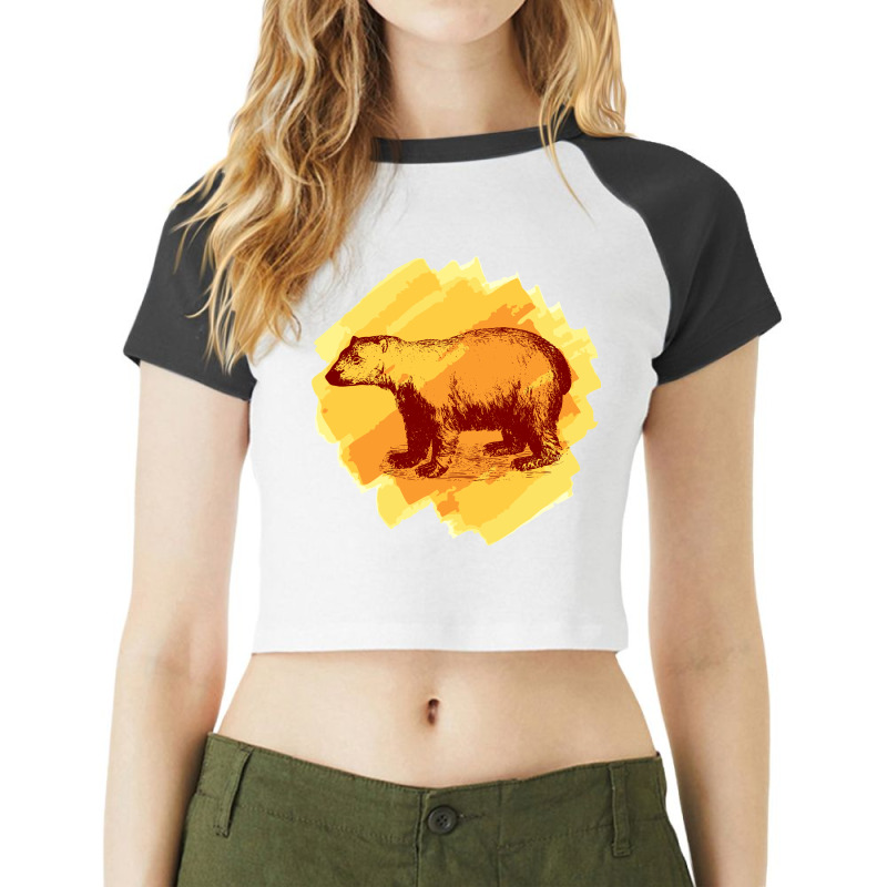 Vintage Polar Bear Raglan Crop Top by HRC Design | Artistshot