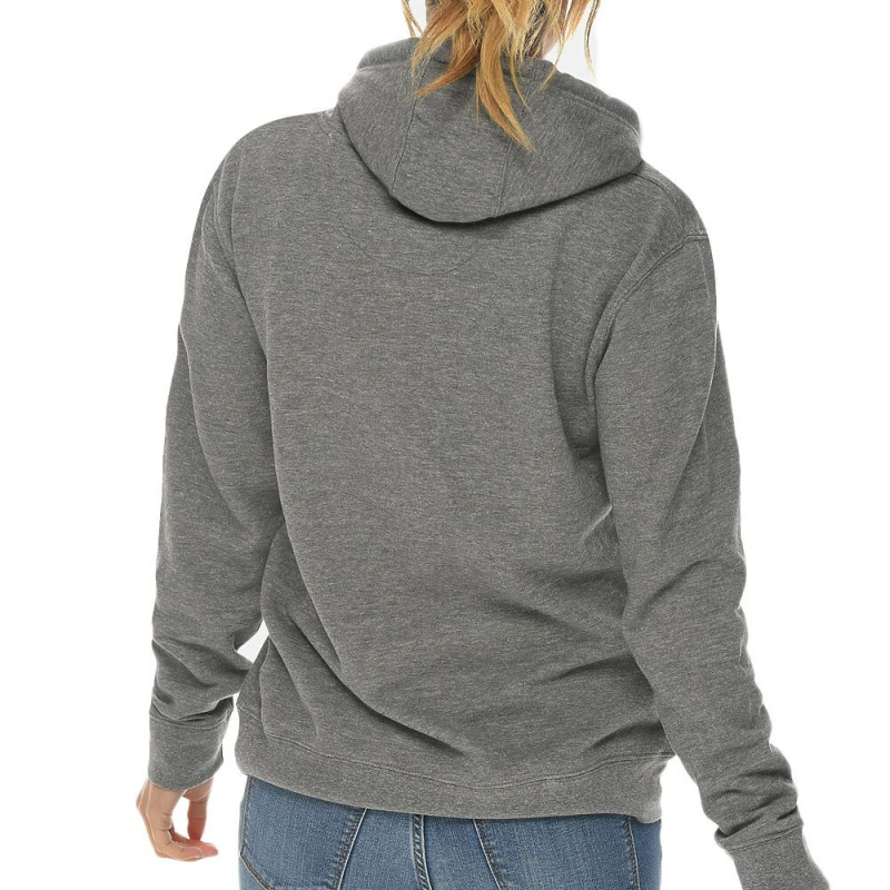 If At First You Don't Succeed Try Doing What Your Science Teacher Told You To Do First Lightweight Hoodie | Artistshot