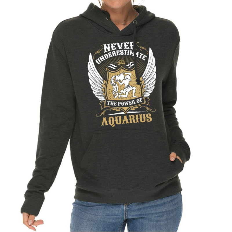 Never Underestimate The Power Of Aquarius Lightweight Hoodie | Artistshot