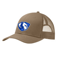 The Eastern Illinois Panthers Pa Trucker Cap | Artistshot